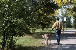 Walkingdog